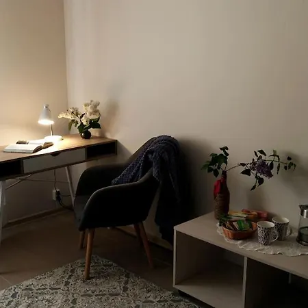 Center Basement Studio - Close To Everything Lejlighed